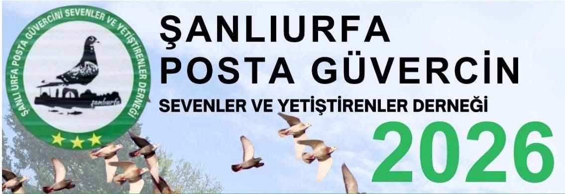2026 Şanlıurfa Posta Güvercinleri Yarışı Başlıyor!