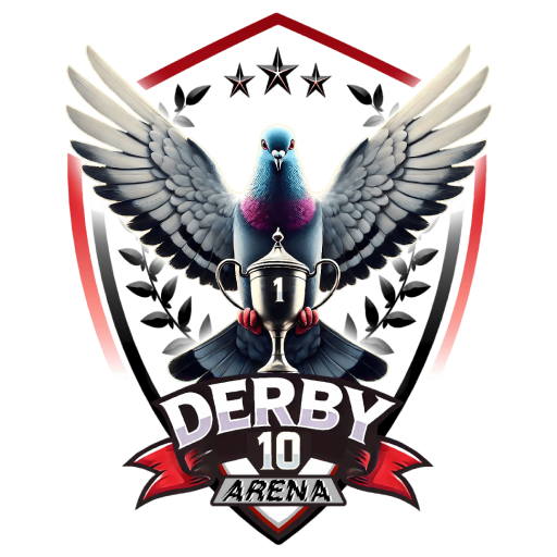 Derby 10 Arena