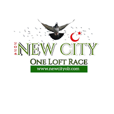 New City One Loft Race