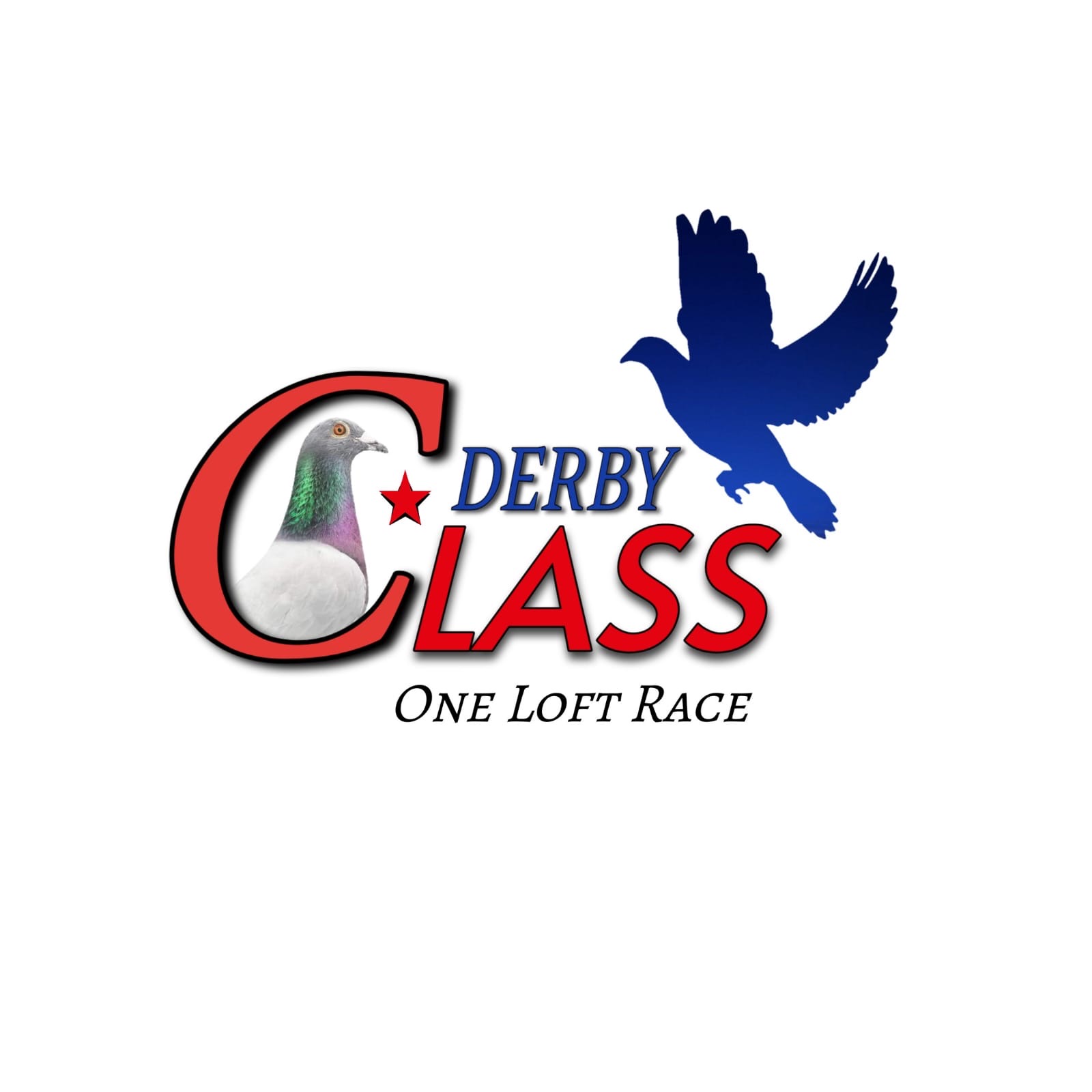 Derby Class